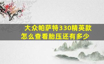 大众帕萨特330精英款 怎么查看胎压还有多少